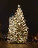 Slavnostní rozsvícení vánočního stromku v Prostiboři 3